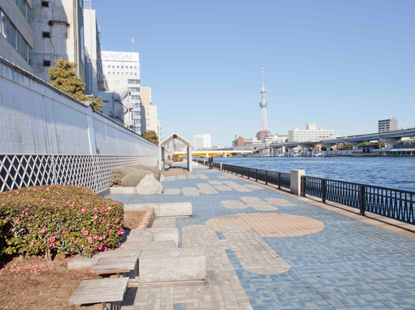 Surrounding environment. Sumida River Terrace (about 160m ・ 2 minutes) safety walk, Promenade of consideration of the hydrophilic maintenance has been the Sumida River cross-strait is, Oasis of regional. Guests can enjoy a walk or jogging.