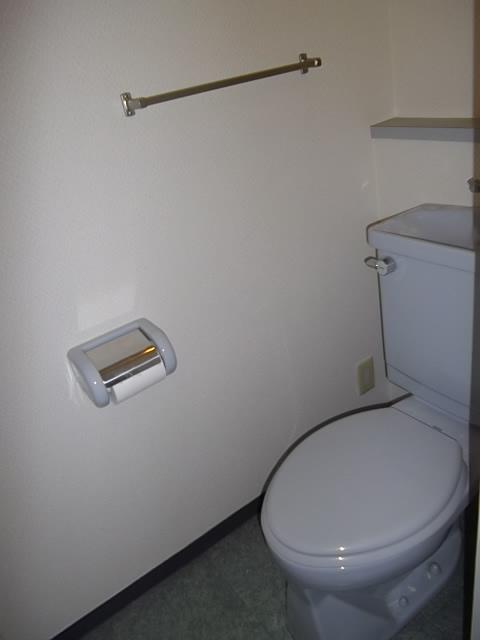 Toilet. Room (May 2013) Shooting