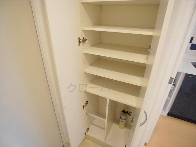 Entrance. Footwear purse