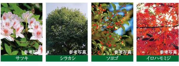 Features of the building.  [Planting feel the taste of the four seasons plan] Satsuki is the shrub, The Takagi evergreen oak and Fraxinus griffithii, Acer palmatum, etc., Erisugura the planting, Us decorate the taste and moisture of the four seasons. (Reference photograph)