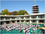 kindergarten ・ Nursery. Sensoji Temple kindergarten (kindergarten ・ 427m to the nursery)