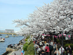 park. Sumida 438m to the park (park)