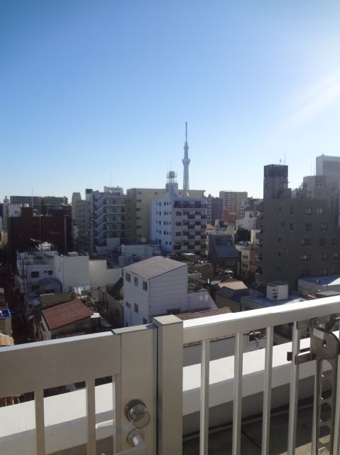 Other. View from the veranda. Sky tree views. 