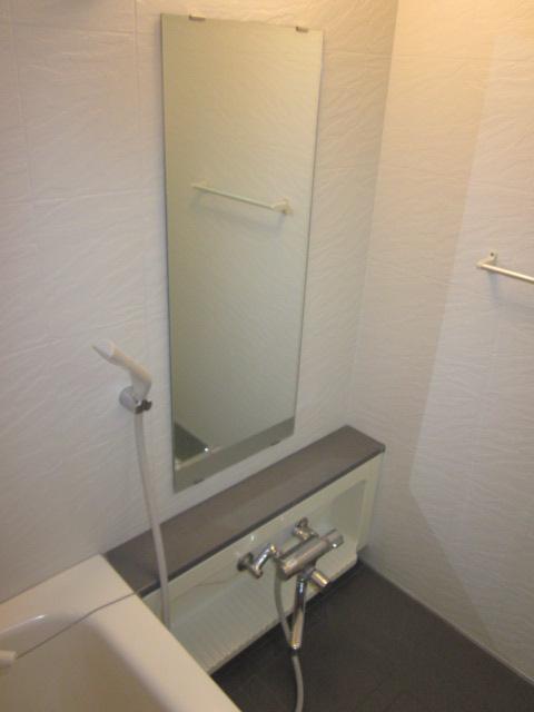 Bathroom. Room (August 2013) Shooting