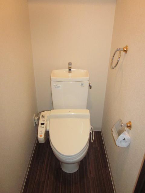 Toilet. Room (August 2013) Shooting