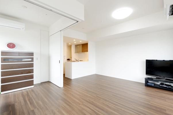 Living. Indoor (April 2013) Shooting