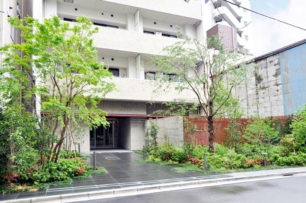 Entrance. Common areas