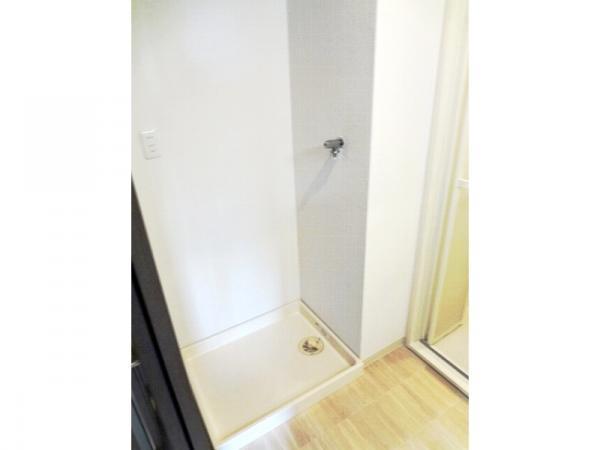 Wash basin, toilet. Laundry Area