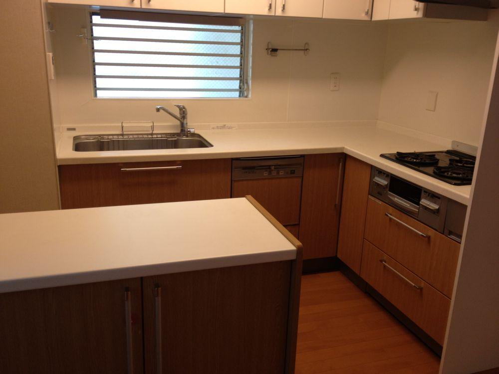 Kitchen. Indoor (10 May 2012) shooting