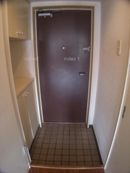 Entrance. Neat entrance space!