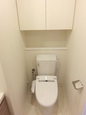 Toilet. Washlet toilet