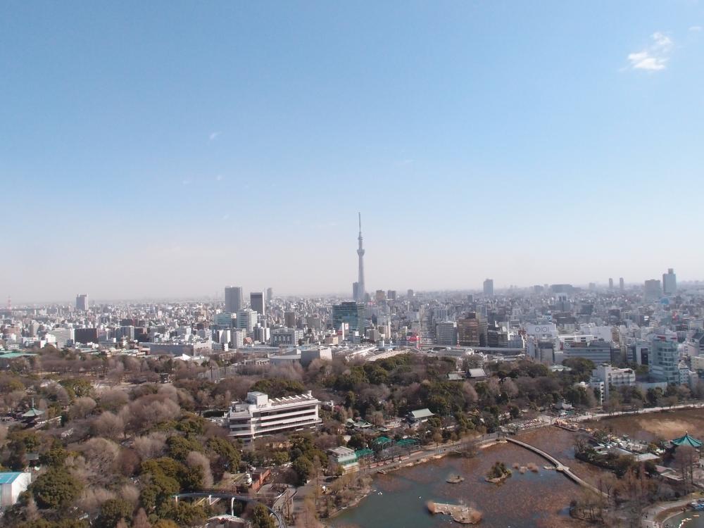 View photos from the dwelling unit. View from the balcony (you views of the Sky Tree)