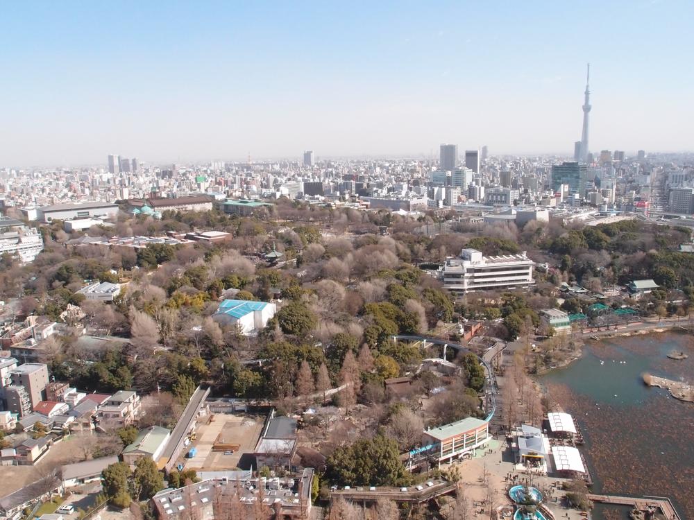 View photos from the dwelling unit. View from the balcony (Ueno Park views are)