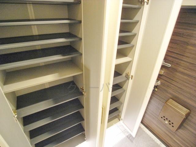 Entrance. Footwear purse