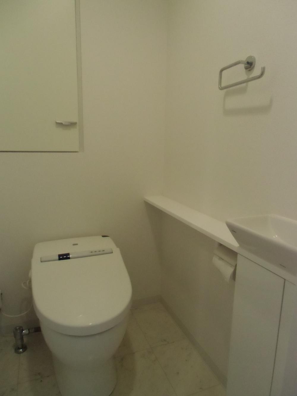 Other introspection. Toilet space with a space in with hand-wash counter