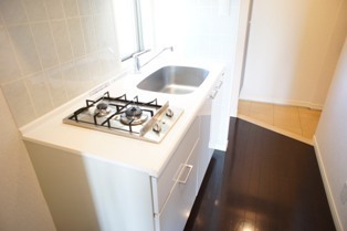 Kitchen. Two-burner gas stove Installed