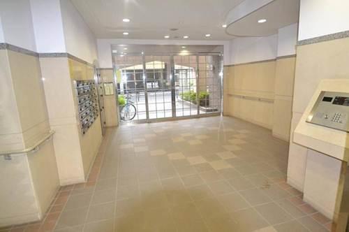 Entrance. Auto-lock with a TV monitor