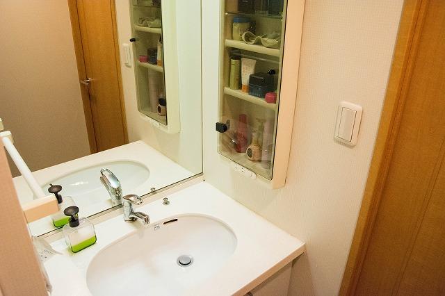 Wash basin, toilet. Bathroom vanity