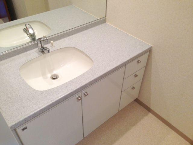 Wash basin, toilet. Bathroom vanity