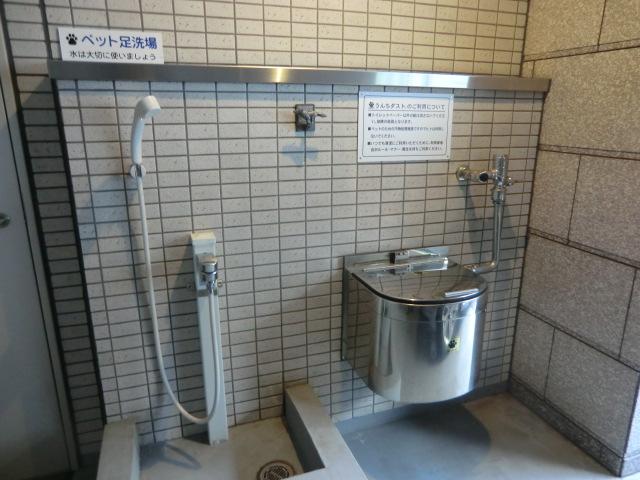 Other common areas. Common areas Pet of the foot washing place