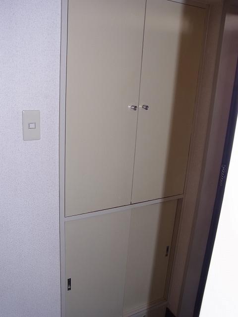 Entrance. Footwear purse