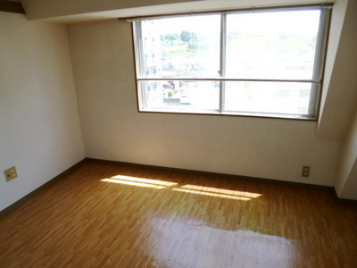 Other room space. South-facing Western-style