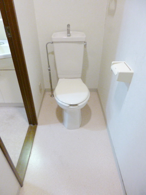 Toilet. Spacious toilet