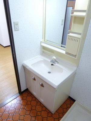 Washroom. Independent wash basin