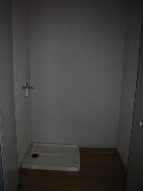 Other Equipment. Indoor Laundry Storage, With door! 