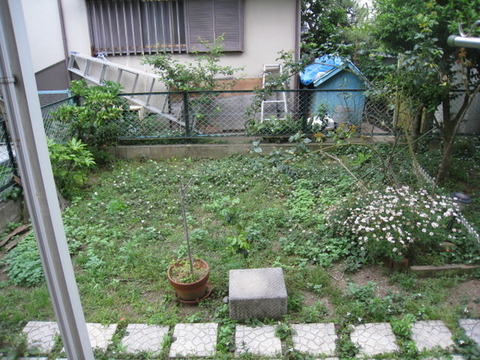 Garden. Garden