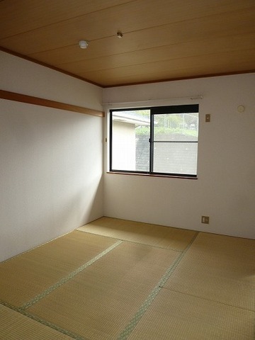 View. Japanese style room