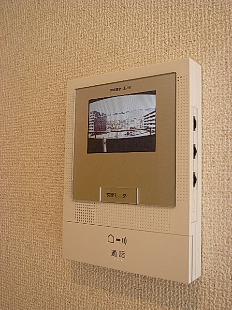 Security. Peace of mind of the TV monitor with intercom