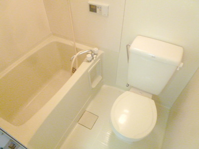 Bath. Bath & toilet space