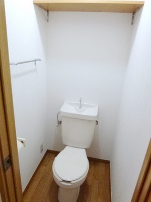 Toilet. Gentleness there is equipped with a shelf at the top