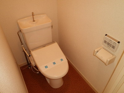 Toilet. Warm water washing toilet seat of the peace of mind