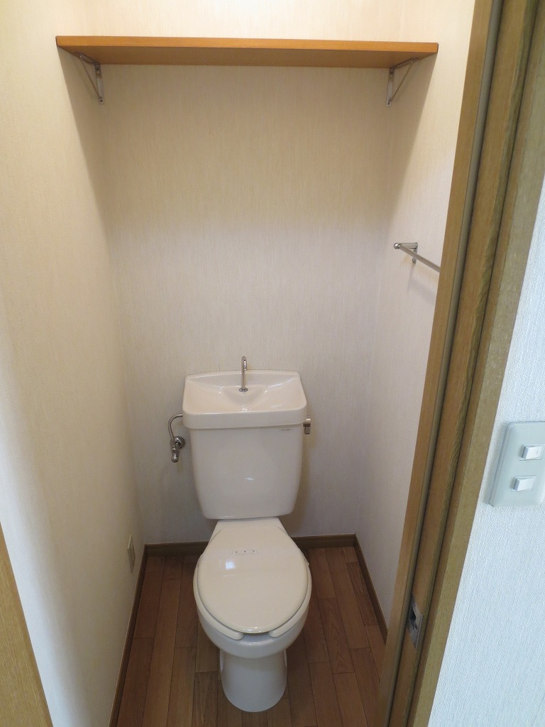 Toilet. Cleaning is a toilet seat can be installed