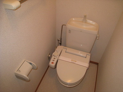 Toilet. Toilet