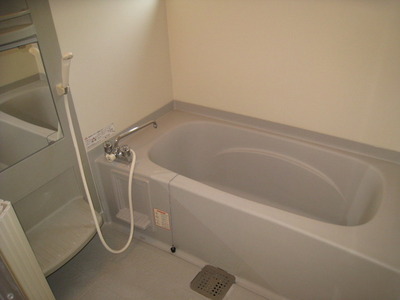 Bath. Bathroom with cleanliness