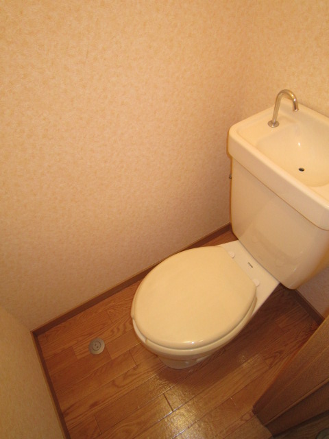 Toilet. Calm room