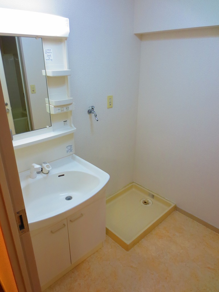 Washroom. Vanity with shower