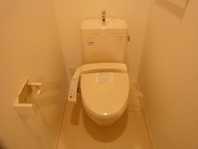 Toilet. Cleaning feature with toilet seat
