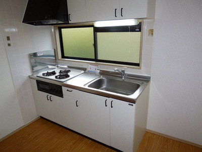 Kitchen. Popular system Kitchen