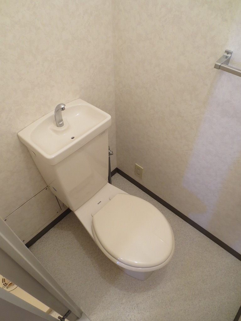Toilet. Cleaning toilet seat mounting is possible