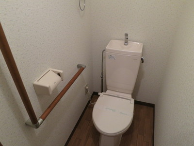 Toilet. Toilet