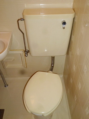 Toilet. Together bath and toilet