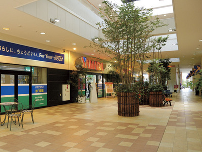 Shopping centre. 700m to cross Garden Tama store (shopping center)
