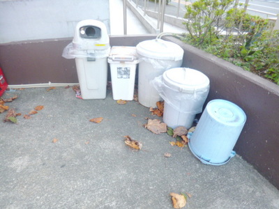 Other common areas. Garbage is yard
