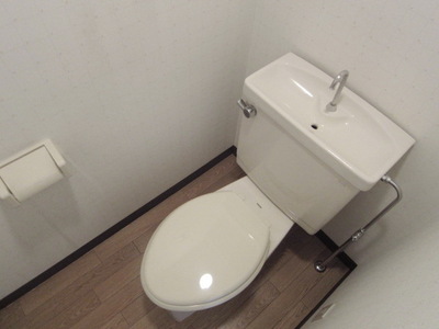 Toilet. Toilet