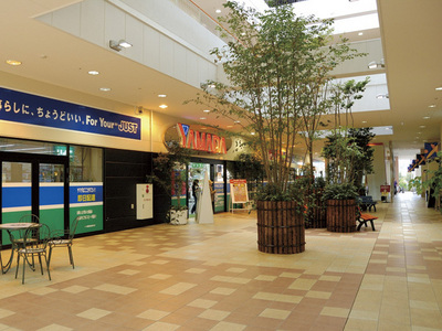 Shopping centre. 620m to cross Garden Tama store (shopping center)