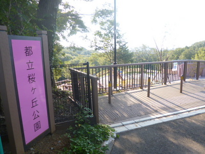 park. 110m to Sakuragaoka Park (park)
